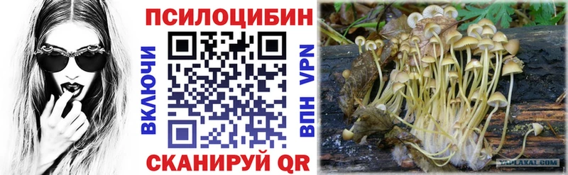 купить наркоту  Кувандык  Галлюциногенные грибы MAGIC MUSHROOMS 