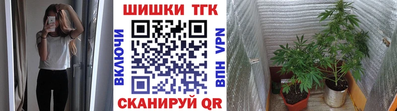 цена   Кувандык  МАРИХУАНА сатива 